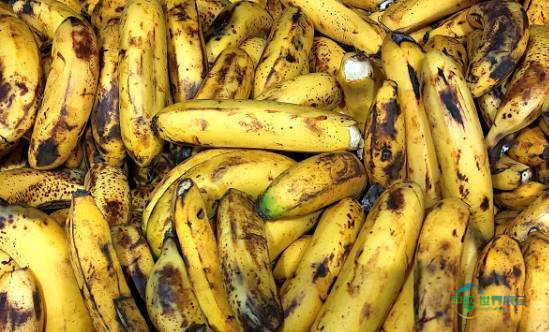 2026年德国法兰克福国际健康食品配料和天然配料展览会：GLP-1药物对食品行业的影响