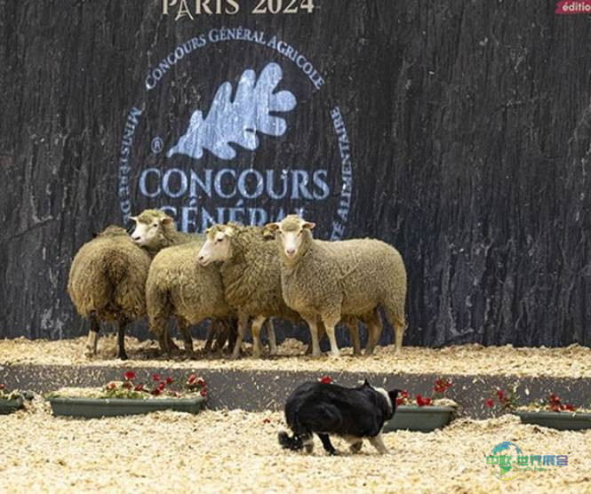 2026法国巴黎国际农牧业展览会盛大启幕，百年农业竞赛引领行业卓越标杆