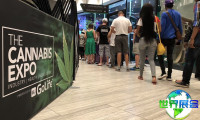 2026年南非大麻博览会(The Cannabis Expo)展位费用与布局图