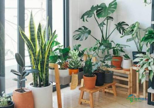 2025年法国里尔国际天然有机食品展览会：AUX DÉLICES DE SOWEN天然有机美食的盛宴