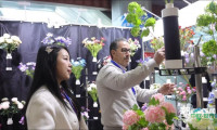 仿真花卉开拓新兴市场，2026义乌首场展览今启幕