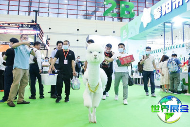 2026郑州宠物展览会观展全攻略：日程安排与票务详情