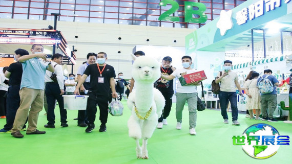 2026郑州宠物展览会观展全攻略：日程安排与票务详情