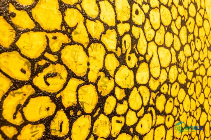 瑞士巴塞尔：亚洲艺术市场新格局新加坡日本崛起香港仍主导