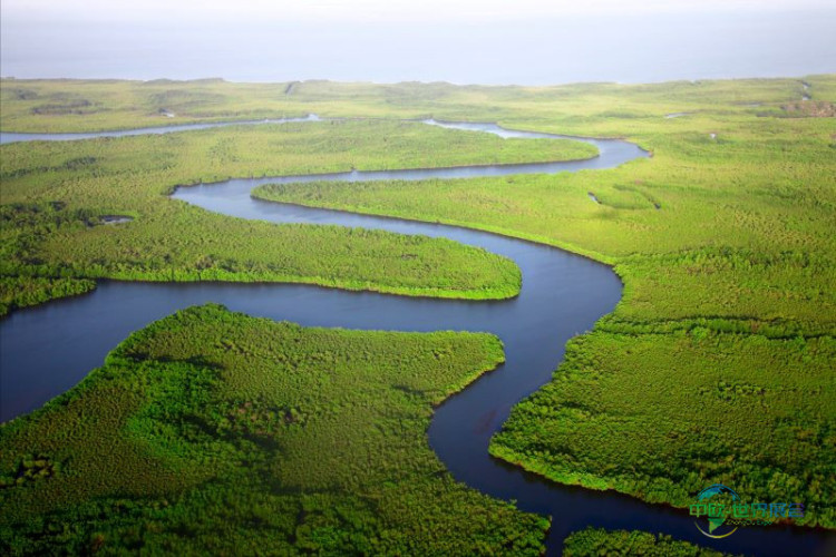 纽带思维与生态系统