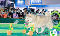 2026年北京宠物展览会(Pet Fair Beijing)门票怎样预定？价格是多少？