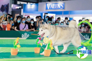 2026年北京宠物展览会(Pet Fair Beijing)门票怎样预定？价格是多少？