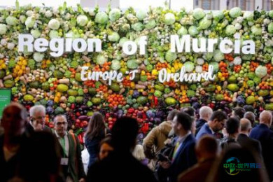德国柏林国际水果蔬菜展览会：FRUIT LOGISTICA 2026全球水果贸易盛会