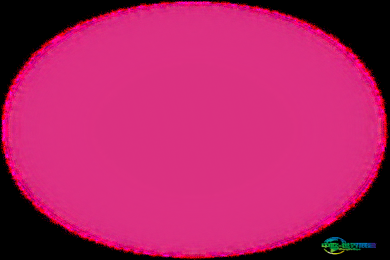 德国腓特烈港改装车展：2026年欧洲汽车文化与性能盛宴