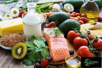 2026广州国际食药同源产业博览会-官网