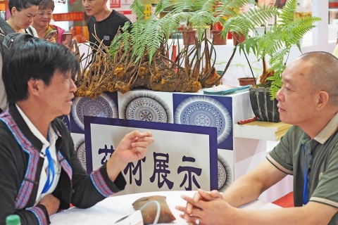 亳州中医药博览会-亳州药材展展会现场图片