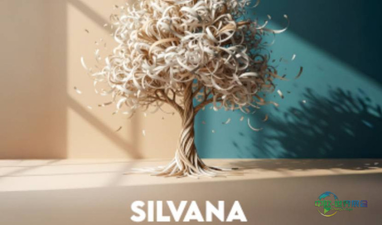 2026年阿拉伯联合酋长国迪拜国际印刷及包装展览会：参展商Silver Star