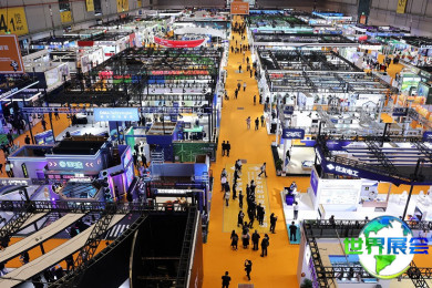 2026年中国国际进口博览会门票获取途径及价格详情