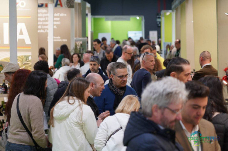 2026年意大利的里雅斯特国际橄榄油展览会：橄榄油生产商的标杆