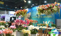 2027年上海花卉园艺展(Hortiflorexpo IPM Shanghai )票价几何，如何购票？