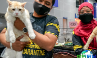 2026年马来西亚宠物展(Pet Expo Malaysia)如何购票？有哪些购票渠道？