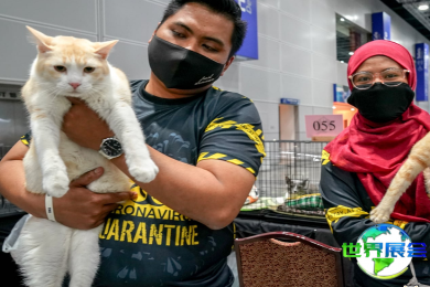 2026年马来西亚宠物展(Pet Expo Malaysia)如何购票？有哪些购票渠道？