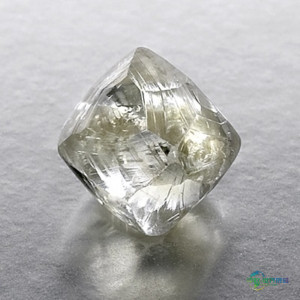 戴比尔斯削减约三分之一看货商席位