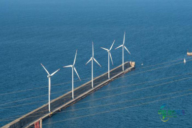 APPA Marina提议举办具有产业视野的海上风电拍卖以激活国家价值链