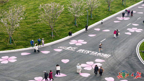 武汉马拉松十年蜕变：一座城市的奔跑与成长