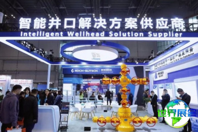 2026年上海石化安全展览会(CIPSE)参观攻略：举办时间与场馆信息/门票如何获取？