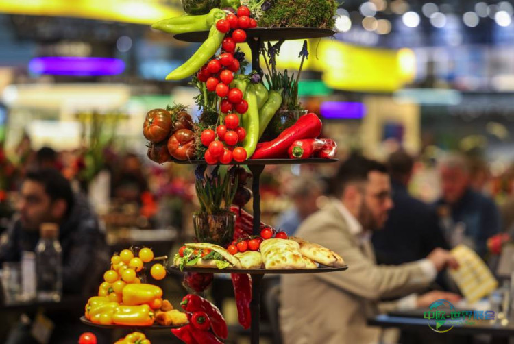 2026年德国斯图加特国际食品及酒店餐饮业设备展览会：未来展望