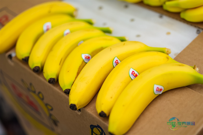 双城竞速，都乐领跑：都乐连续赞助2026上海半马与2026无锡马拉松