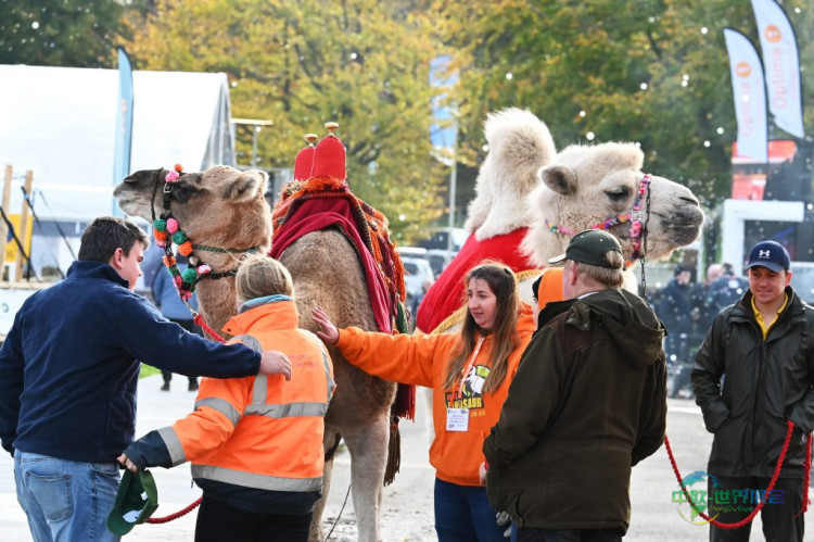 The Showman's Show SC3