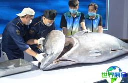 福建渔博会(Fisheries Expo)2026展会手册如何取得？