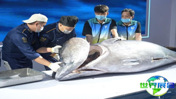 福建渔博会(Fisheries Expo)2026展会手册如何取得？