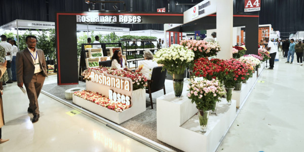 埃塞俄比亚花卉园艺贸易展拉开帷幕