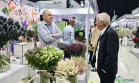 埃塞俄比亚花卉园艺贸易博览会开幕(1)