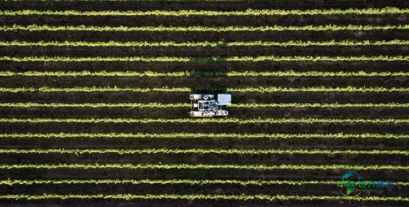 2026年芬兰坦佩雷国际食品饮料工业展览会：新名字新气象