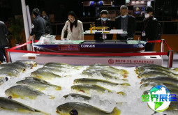 2026年青岛国际水产养殖展览会(Aquaculture China)观展指南（日程+场馆+购票）