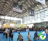 2026年度上海亚洲宠物展(Petfair asia)门票获取途径及票价详情