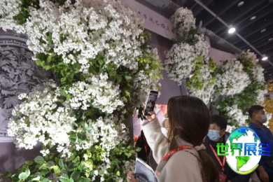 2026全国婚庆道具展(WFDF)展品范畴