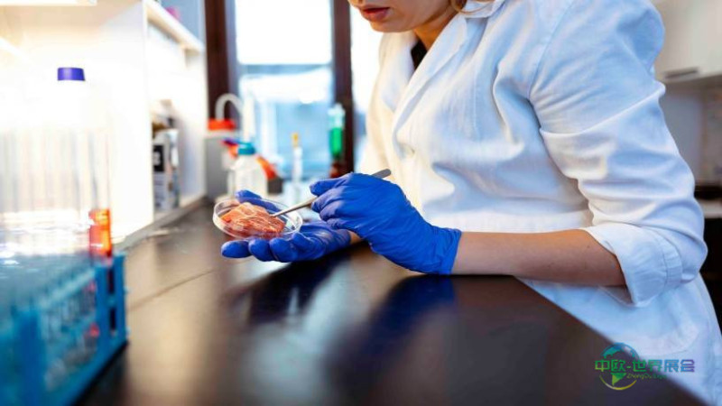 2027年德国科隆食品展聚焦智能安全可持续主题