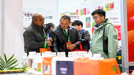 呼和浩特：农博会上人气旺