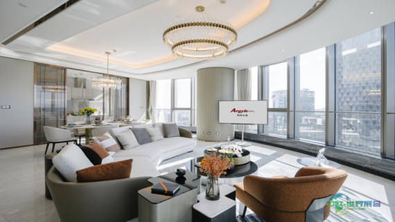 政务会客厅——雅阁如何助力国家战略与城市进步