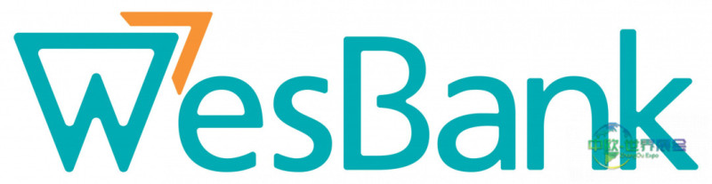 南非约翰内斯堡国际汽车节：速度与家庭乐融一体