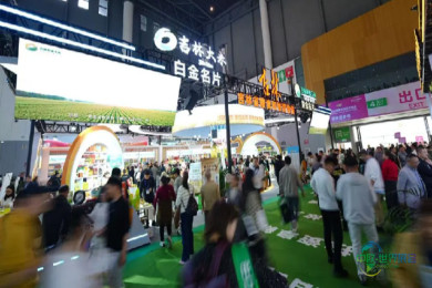 “吉字号”粮食品牌香飘巴蜀 “三金”名片闪耀第114届全国糖酒...