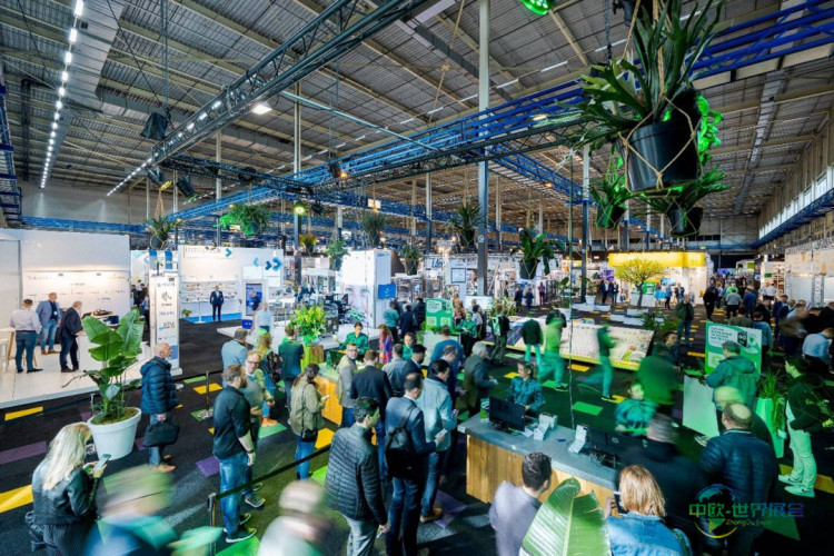 DH自动化科技携整体解决方案亮相荷兰霍林赫姆国际包装展览会2026