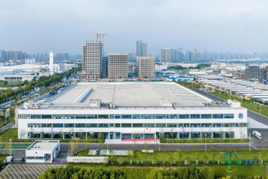全球500强企业缘何年年赴约“樱花盛会”
