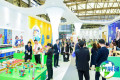2026年上海玩具展(CHINA TOY EXPO)门票如何获取？购票方式有哪些？