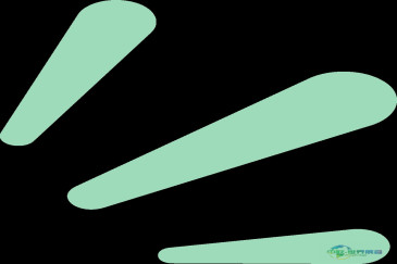 “客商络绎不绝”，四川茶叶年初外销增幅达52%