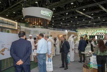 阿拉伯联合酋长国阿布扎比国际太阳能及新能源展览会：非洲太阳能四大领域蕴藏机遇