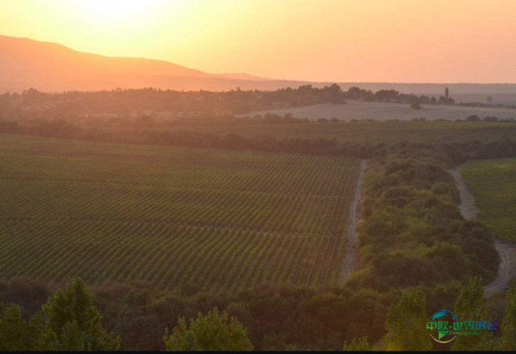 哈萨克斯坦国际食品展：欧洲携特色葡萄酒亮相