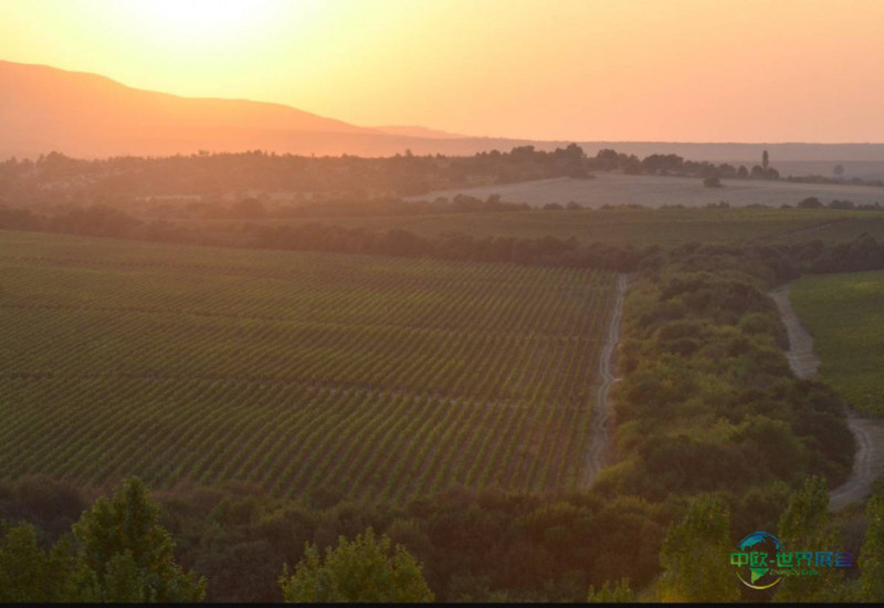 哈萨克斯坦国际食品展：欧洲携特色葡萄酒亮相