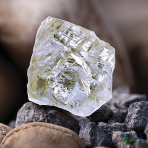 最后的迪亚维克钻石将何去何从？