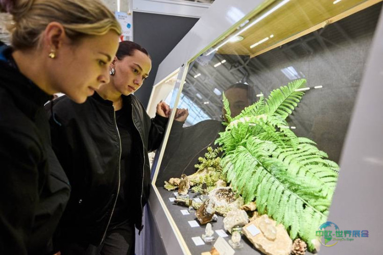 2026慕尼黑矿物展征集私人收藏珍品亮相